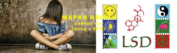 ГАЛЛЮЦИНОГЕННЫЕ ГРИБЫ Липки