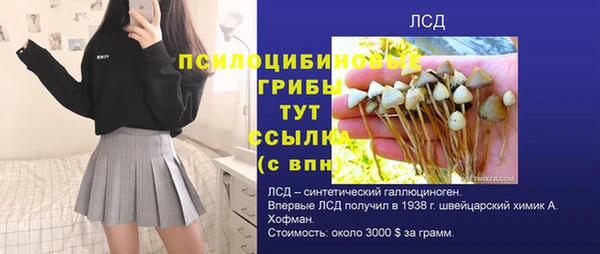скорость Лиски
