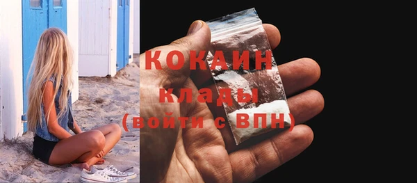 ГАЛЛЮЦИНОГЕННЫЕ ГРИБЫ Липки