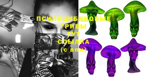 скорость Лиски
