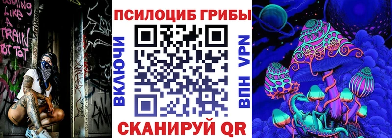 Галлюциногенные грибы MAGIC MUSHROOMS где купить Дубна