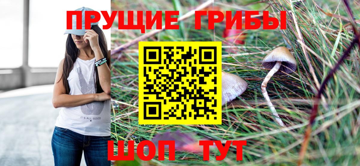 Псилоцибиновые грибы Cubensis Дубна