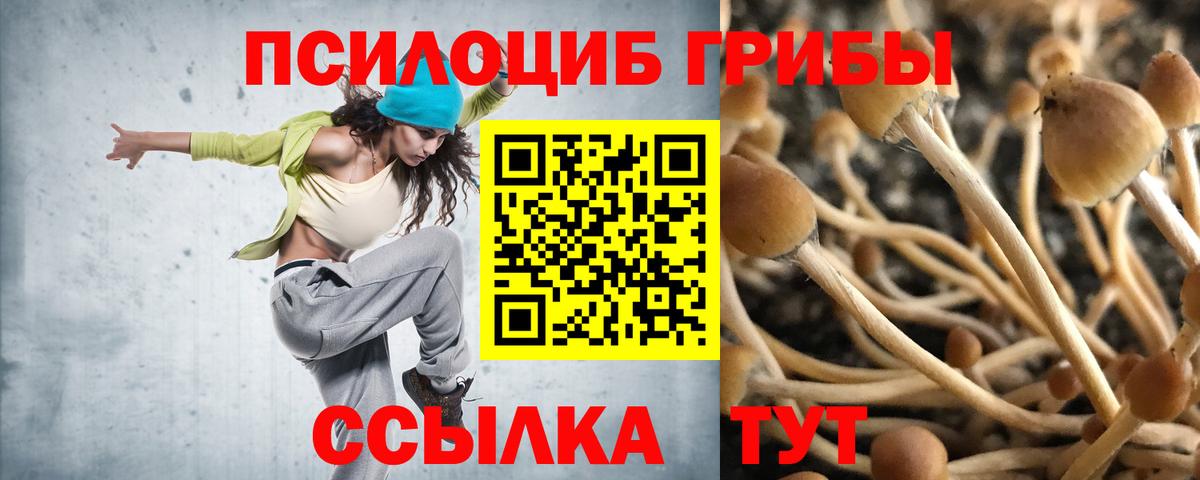 Псилоцибиновые грибы GOLDEN TEACHER  Вход с VPN  Дубна 